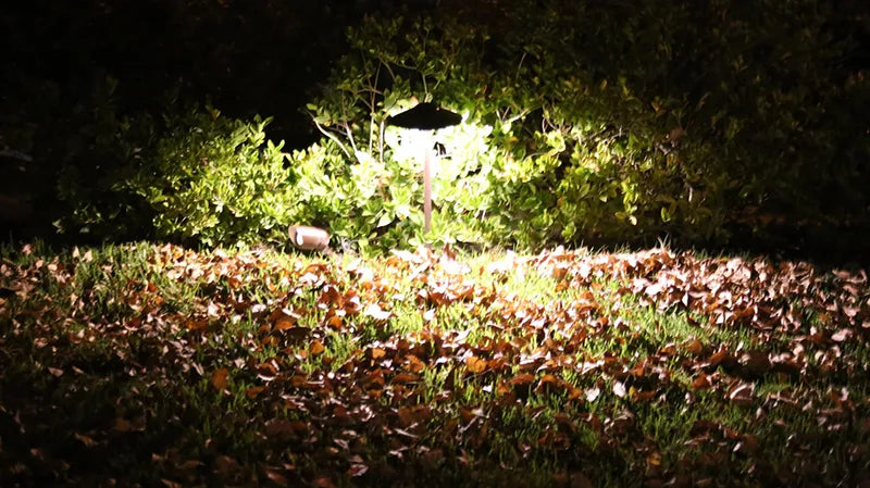 Clear Brass Path Light - PLB02