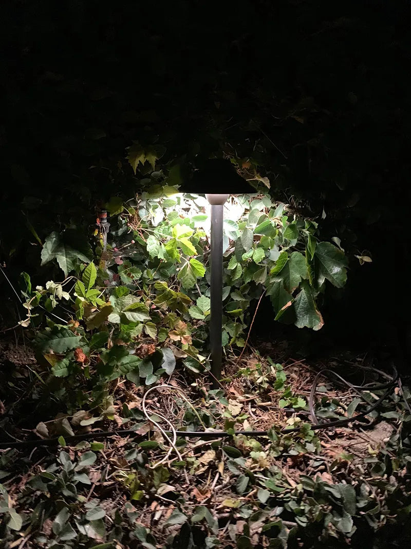 Clear Brass Path Light - PLB02
